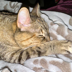 Meet your Posher, Michelle